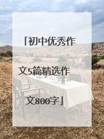 初中优秀作文5篇精选作文800字