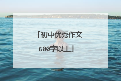 初中优秀作文600字以上