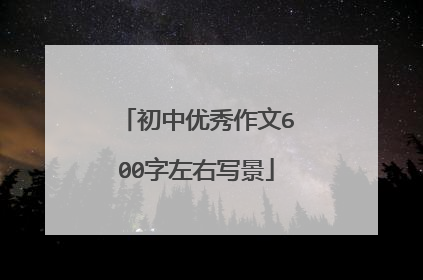 初中优秀作文600字左右写景