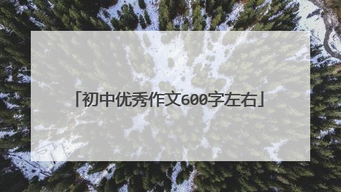 初中优秀作文600字左右