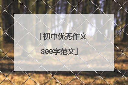 初中优秀作文800字范文