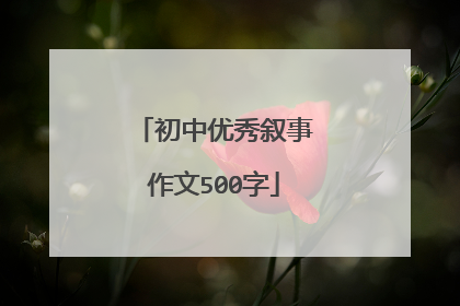 初中优秀叙事作文500字