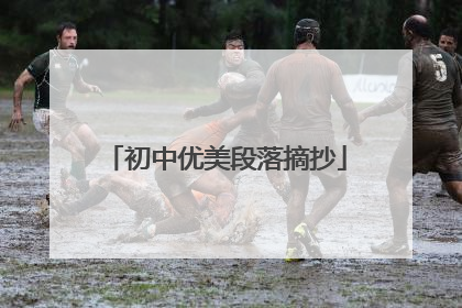 初中优美段落摘抄