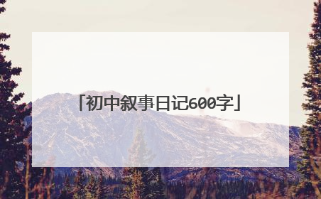 初中叙事日记600字