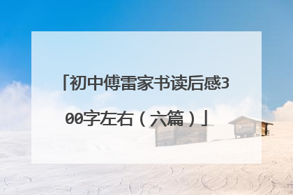 初中傅雷家书读后感300字左右（六篇）