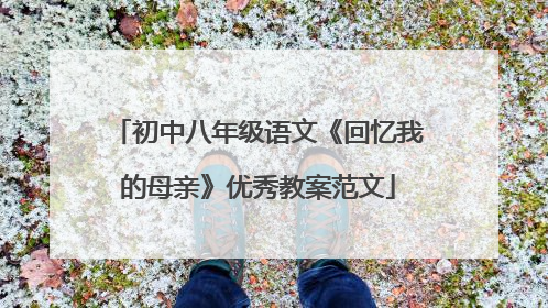初中八年级语文《回忆我的母亲》优秀教案范文