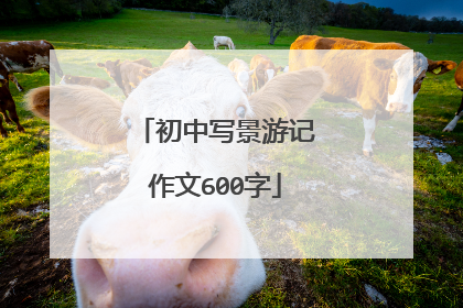 初中写景游记作文600字