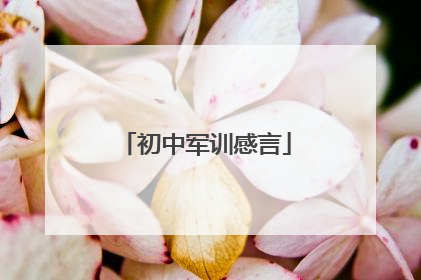初中军训感言