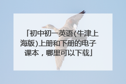 初中初一英语(牛津上海版)上册和下册的电子课本,哪里可以下载