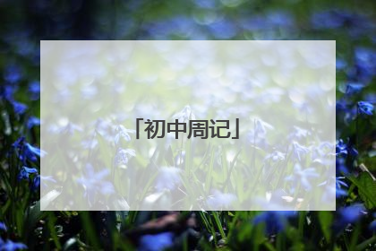 初中周记