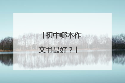 初中哪本作文书最好？