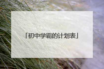 初中学霸的计划表