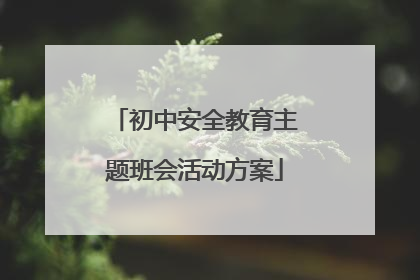 初中安全教育主题班会活动方案