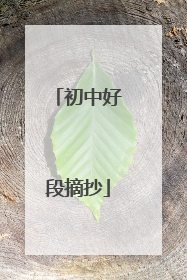 初中好段摘抄