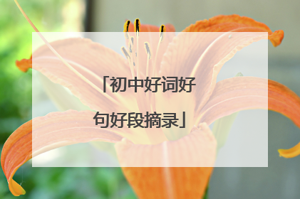 初中好词好句好段摘录