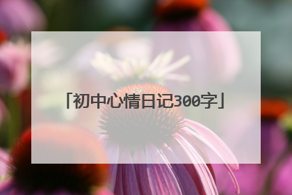 初中心情日记300字