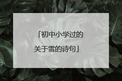 初中小学过的关于雪的诗句