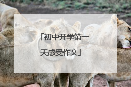 初中开学第一天感受作文
