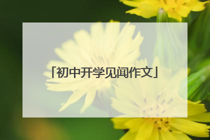 初中开学见闻作文