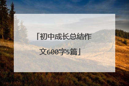 初中成长总结作文600字5篇