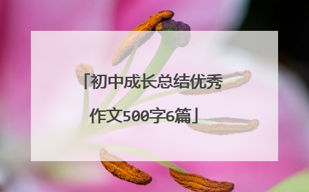 初中成长总结优秀作文500字6篇