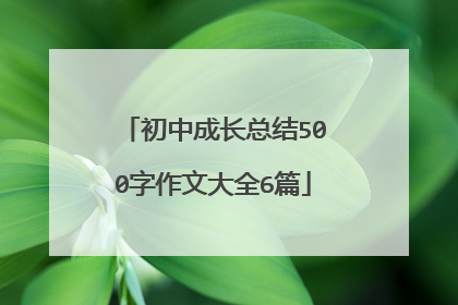 初中成长总结500字作文大全6篇