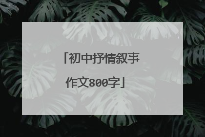 初中抒情叙事作文800字