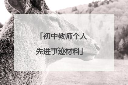 初中教师个人先进事迹材料