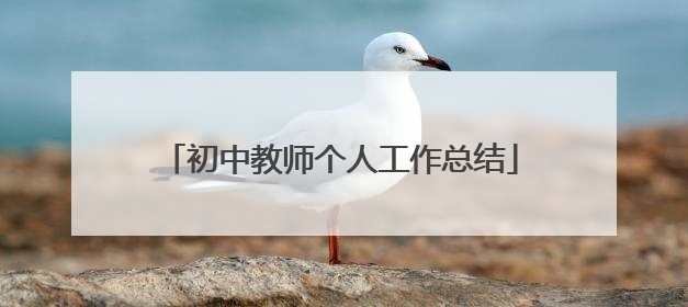 初中教师个人工作总结