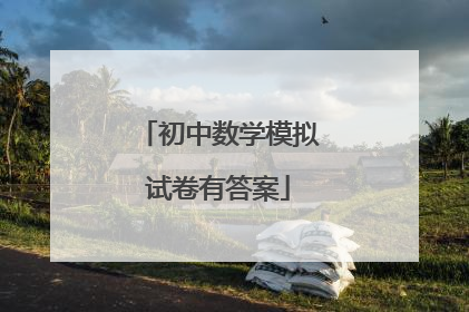 初中数学模拟试卷有答案