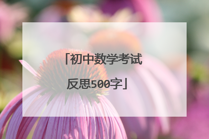 初中数学考试反思500字