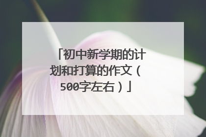 初中新学期的计划和打算的作文（500字左右）