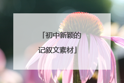 初中新颖的记叙文素材