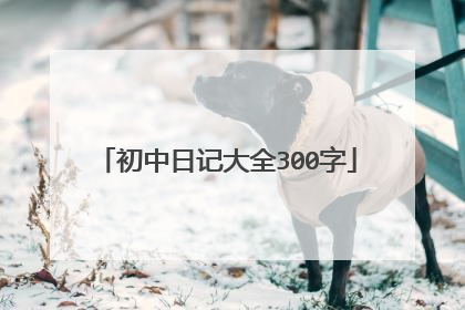初中日记大全300字