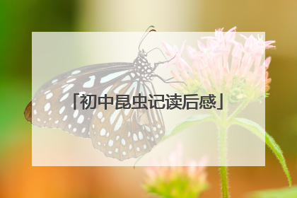 初中昆虫记读后感