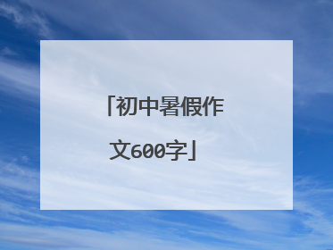 初中暑假作文600字