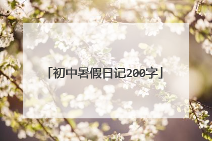 初中暑假日记200字