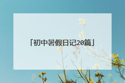 初中暑假日记20篇