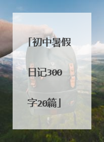 初中暑假日记300字20篇