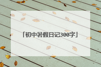 初中暑假日记300字