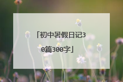初中暑假日记30篇300字