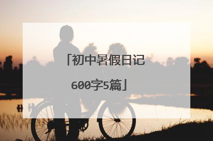 初中暑假日记600字5篇