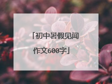 初中暑假见闻作文600字