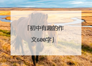 初中有趣的作文600字