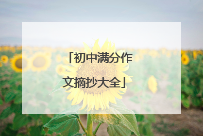 初中满分作文摘抄大全