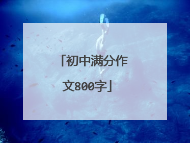 初中满分作文800字