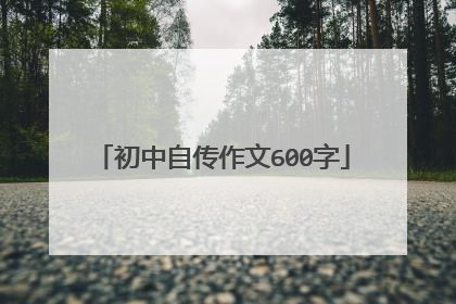 初中自传作文600字