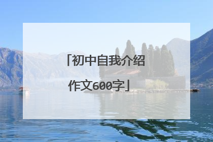 初中自我介绍作文600字
