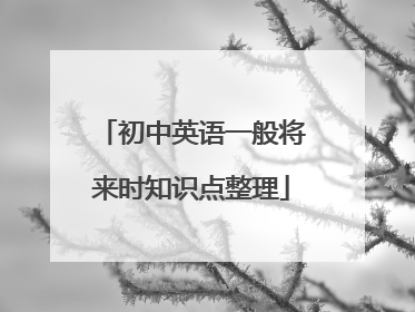 初中英语一般将来时知识点整理