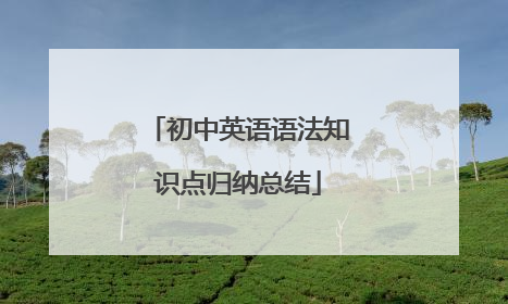 初中英语语法知识点归纳总结